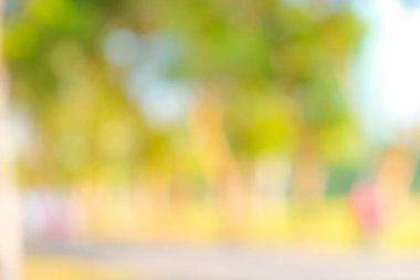 Soyut bulanık yol parkı sabah güneşi yeşil ağaç arka planı