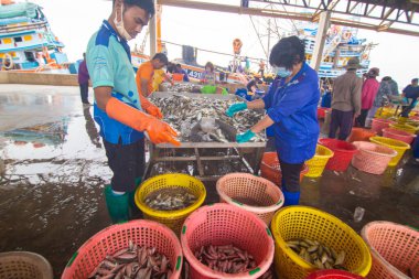 Samut Sakhon, Tayland-7 Kasım 2020: İnsanlar Samutsakhon, Tayland 'da covid-19 salgınından korunmak için maske takarken Mahachai Market' ten taze deniz ürünleri satın alıyorlar.