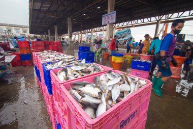 Mahachai Samutsakhon, Tayland - 7 Kasım 2020: Kimliği belirsiz insanlar cerrahi maske takıyor ve Mahachai taze pazarından deniz ürünleri seçiyorlar