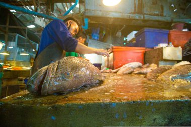 Mahachai Samutsakhon, Tayland - 7 Kasım 2020: Kimliği belirsiz insanlar cerrahi maske takıyor ve Mahachai taze pazarından deniz ürünleri seçiyorlar