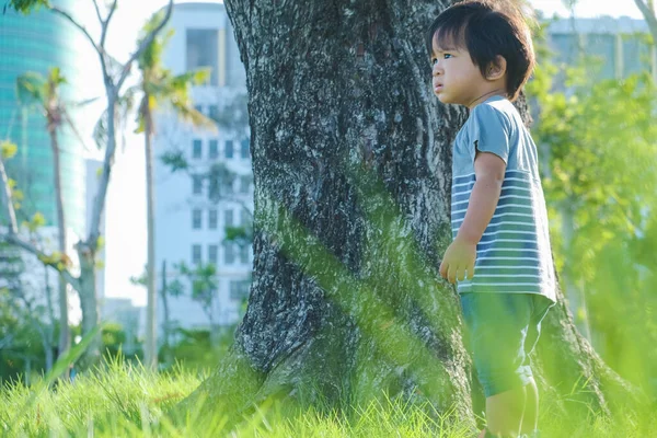 Doğada, parktaki yeşil çimlerde yürüyen sevimli Asyalı çocuk.