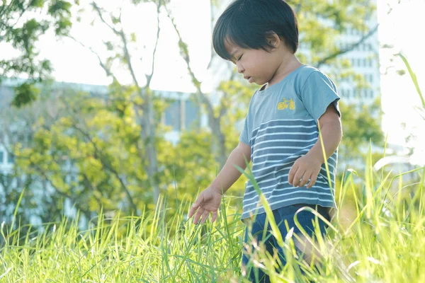 Doğada, parktaki yeşil çimlerde yürüyen sevimli Asyalı çocuk.