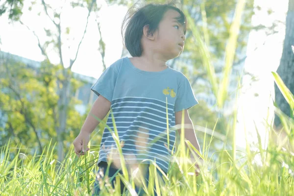 Doğada, parktaki yeşil çimlerde yürüyen sevimli Asyalı çocuk.