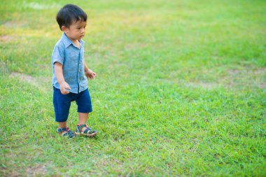 Yeşil çimlerde oynayan sevimli Asyalı çocuk. Şehir parkında gün batımı. Doğa eğlencesi.