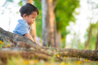 Yeşil çimlerde oynayan sevimli Asyalı çocuk. Şehir parkında gün batımı. Doğa eğlencesi.