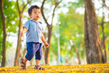 Yeşil çimlerde oynayan sevimli Asyalı çocuk. Şehir parkında gün batımı. Doğa eğlencesi.