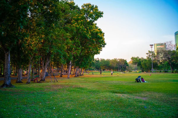 Ağaç parkındaki yeşil çayır gün batımı aydınlık doğa arka planı