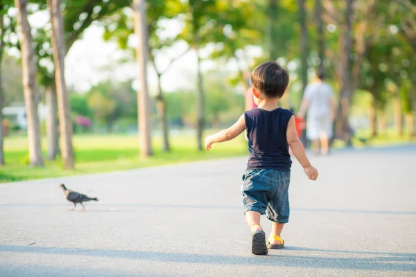 Очаровательный Маленький Мальчик Прогуливаясь Городском Парке Закат Света Мальчик Природе — стоковое фото