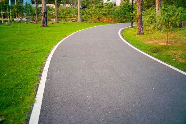 Asphalt Walk Running Pathway Green City Park Sunset Nature Recreation — Stock Photo, Image