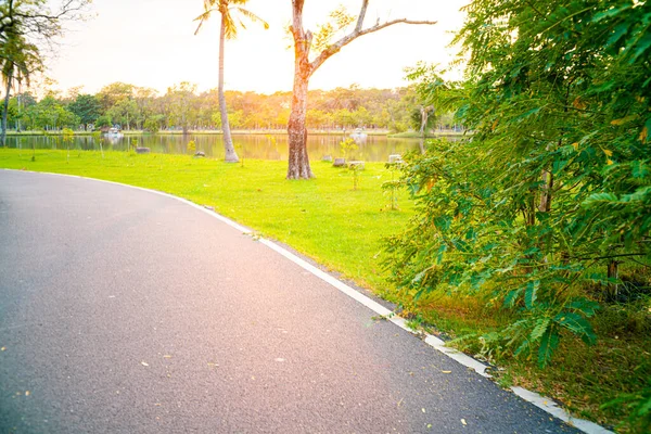 Asfalt Promenad Och Gångväg Grön Stadspark Solnedgång Natur Rekreation — Stockfoto