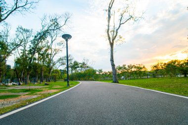 Yeşil şehir parkında asfalt yürüyüş ve koşu yolu gün batımı doğa eğlencesi