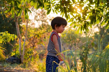 Yeşil doğa parkında oynayan çocuk gün batımı açık hava aktivitesi