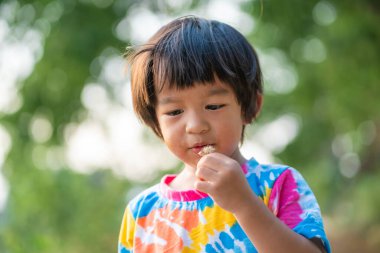 Asyalı çocuk çimen çalıyor. Çiçek açıyor. Gün batımı.