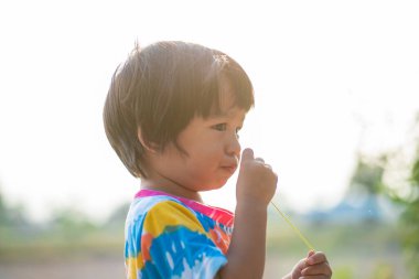 Asyalı çocuk çimen çalıyor. Çiçek açıyor. Gün batımı.