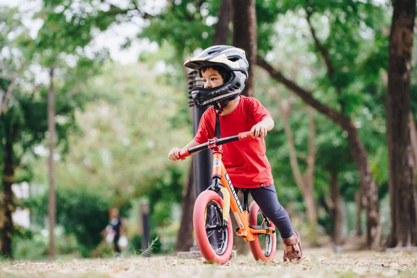 Little Preschool Boy Playing Balance Bike Tree Park Exercise Nature —  Fotos de Stock