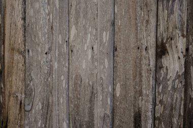 Antika meşe ağacı deseni. Arka plan duvarları boş.