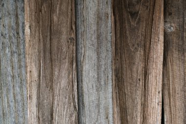 Antika meşe ağacı deseni. Arka plan duvarları boş.