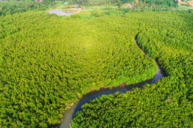 Hava manzaralı yeşil tropikal mangrov ormanı nehirden denize sabah güneşinin doğuşu ekoloji sistemi tabiatı