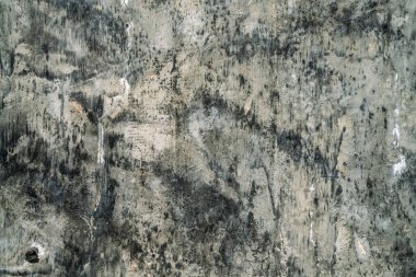 İçerisi ya da dışarısı için beyaz gri beton duvar cilalanmış, cilalanmış, cilalanmış...