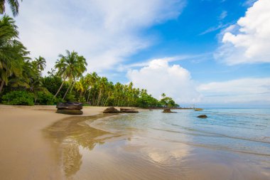 Beyaz kum turkuvaz okyanuslu güzel yaz plajı bulutlu mavi gökyüzüne ve boş palmiye ağacına karşı