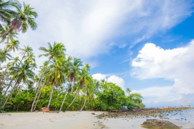 Beyaz kum turkuvaz okyanuslu güzel yaz plajı bulutlu mavi gökyüzüne ve boş palmiye ağacına karşı