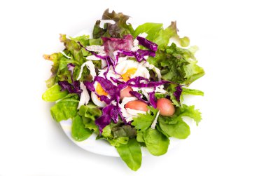 Taze beyaz bir tabak içinde haşlanmış yumurta salatası