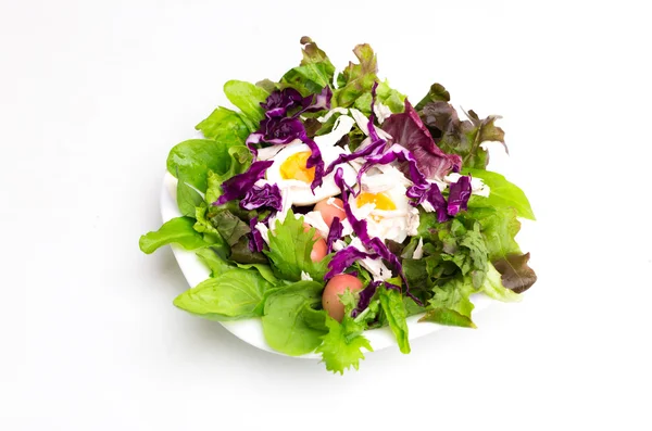 Salada de legumes fresca com ovo cozido em prato branco — Fotografia de Stock