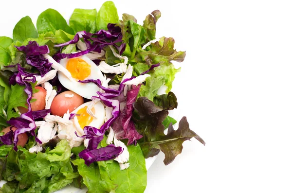 Ensalada fresca con huevo cocido en un plato blanco — Foto de Stock