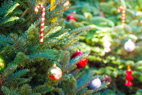 Διακοσμήσεων χριστουγεννιάτικων δέντρων — Φωτογραφία Αρχείου