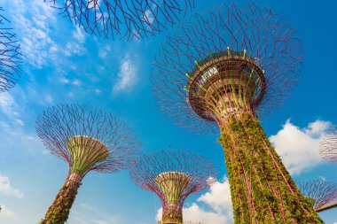 Singapur Körfezi 'ndeki Bahçeler.