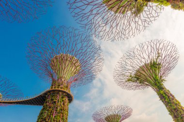 Singapur Körfezi 'ndeki Bahçeler.