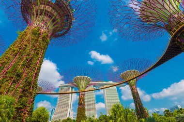Singapur Körfezi 'ndeki Bahçeler.
