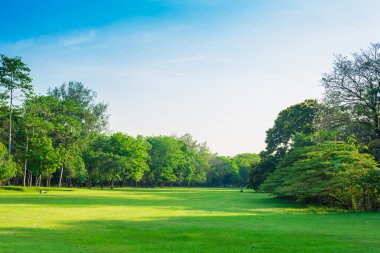 Şehir içinde park ve rekreasyon alanı