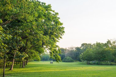 Şehir içinde park ve rekreasyon alanı