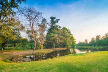 Şehir Park bataklık ile yeşil çim 