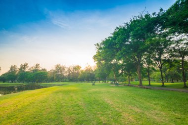 güneş ışığı ile güzel yeşil park