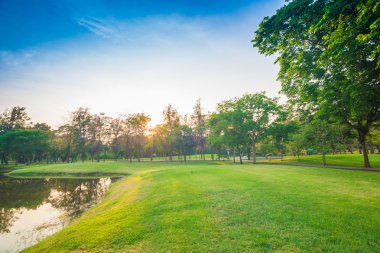 güneş ışığı ile güzel yeşil park