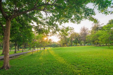 Şehir içinde park ve rekreasyon alanı