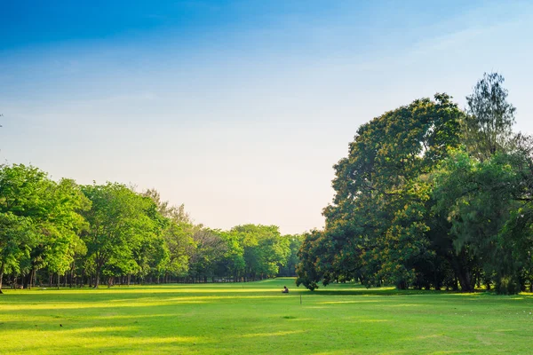 güneş ışığı ile güzel yeşil park