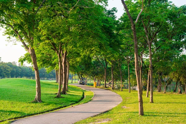 Caminho pavimentado a curvar-se pelo parque. Caminho pacífico . — Fotografia de Stock