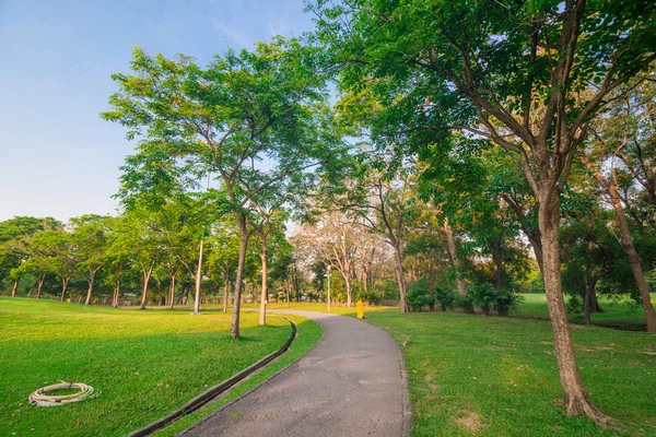 Sendero pavimentado curvo a través del parque. Sendero pacífico . —  Fotos de Stock