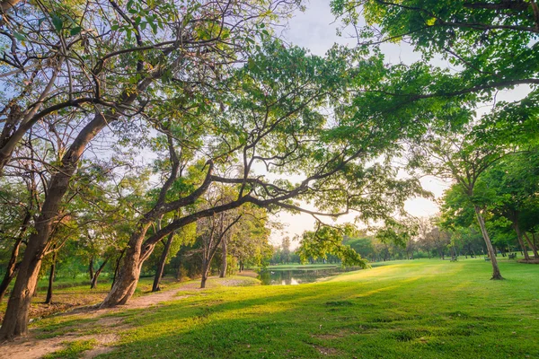 Parque y área de recreación en la ciudad — Foto de Stock