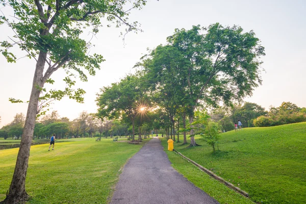 Vackra avenue i parken. — Stockfoto