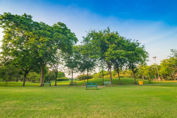 A City Park és rekreációs terület — Stock Fotó