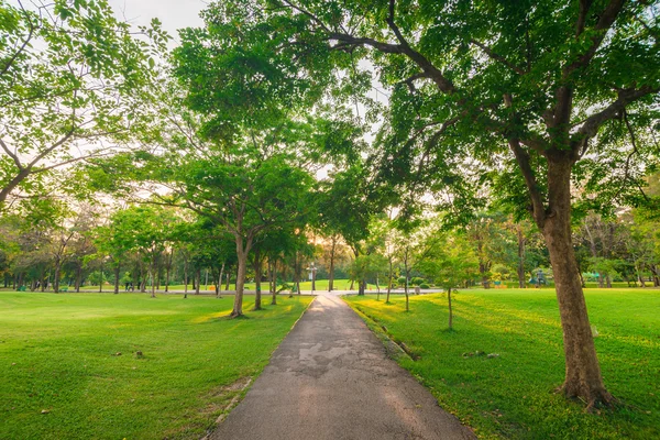 Stenlagd Stig svängda genom parken. fredlig väg. — Stockfoto