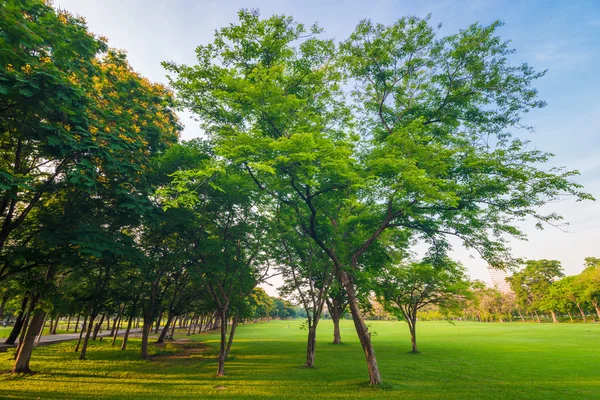 Parque e área de recreação na cidade — Fotografia de Stock