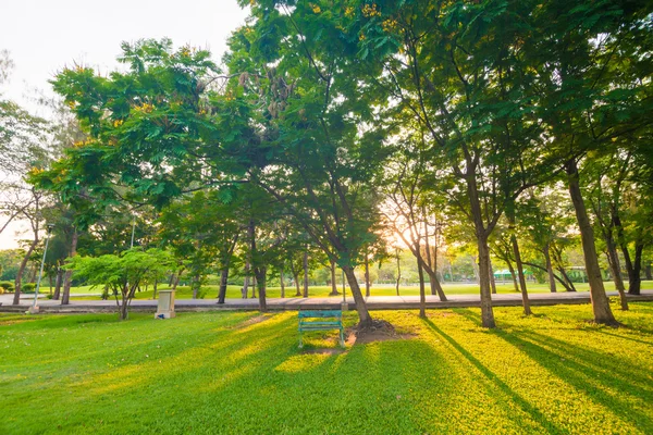 Bellissimo parco verde con luce solare — Foto Stock