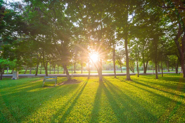 都市公園およびレクリェーション エリア — ストック写真