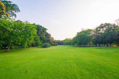 Şehir içinde park ve rekreasyon alanı