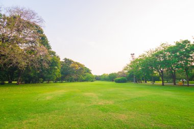 Şehir içinde park ve rekreasyon alanı